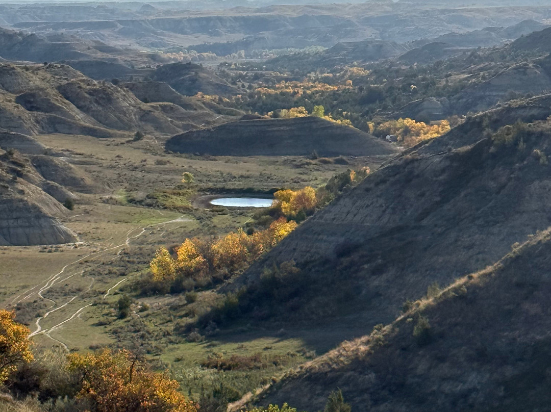 Elkhorn Ranch Site-Theodore Roosevelt National Park必去景点