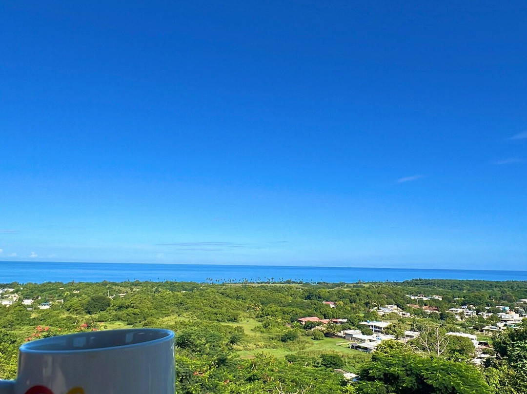 Aguadilla Guest House主图