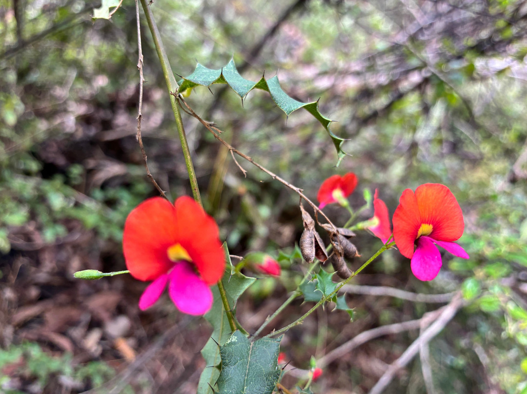 Hotham Valley Tourist Railway-Dwellingup必去景点