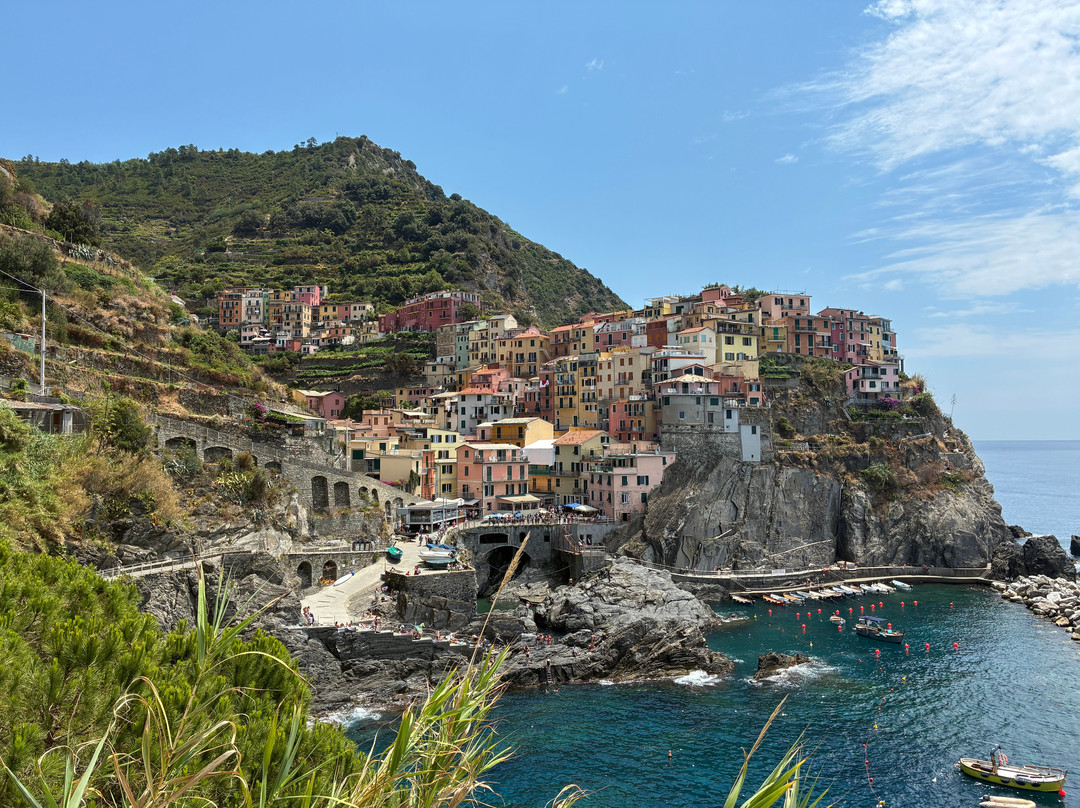Manarola scenic viewpoint