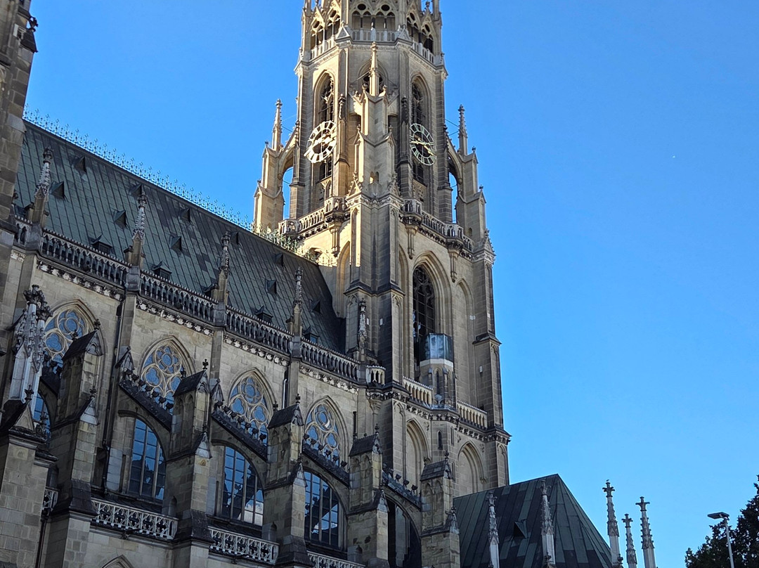 Mariendom-林兹必去景点