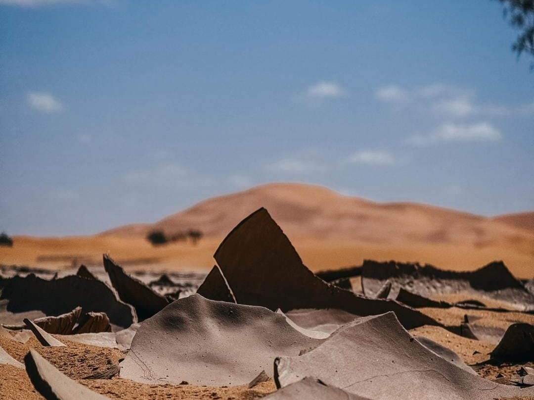 Moroccan Safaris Activities-非斯必去景点