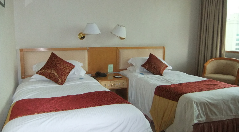 佳新大酒店-客卧