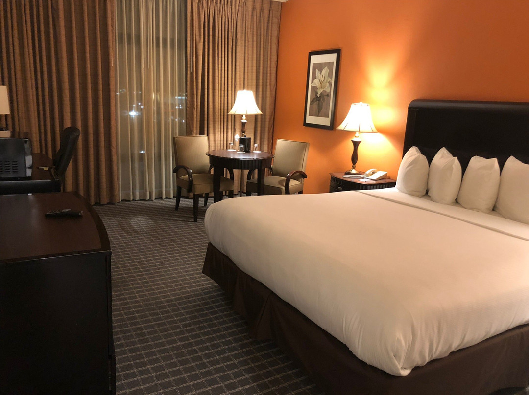 奥克兰国际机场红狮酒店