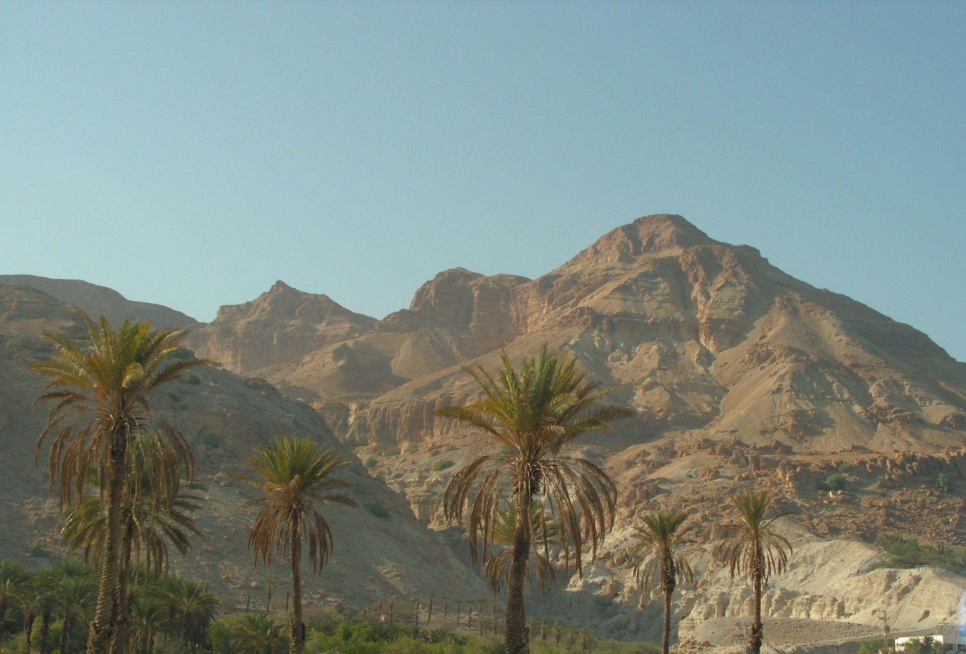 Caesar Resorts Deadsea Hotel-酒店景观