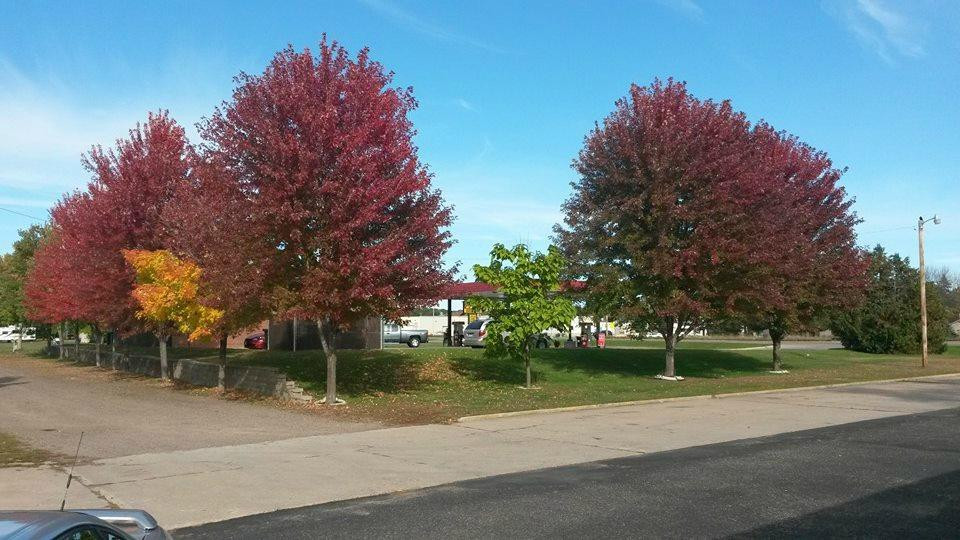 Pierz酒店住宿-The Clifwood Motel