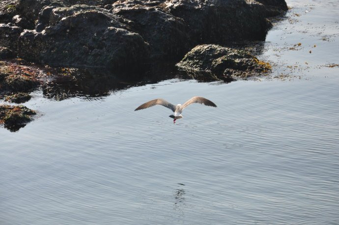 神雕山野生动物保护区-荣成市必去景点