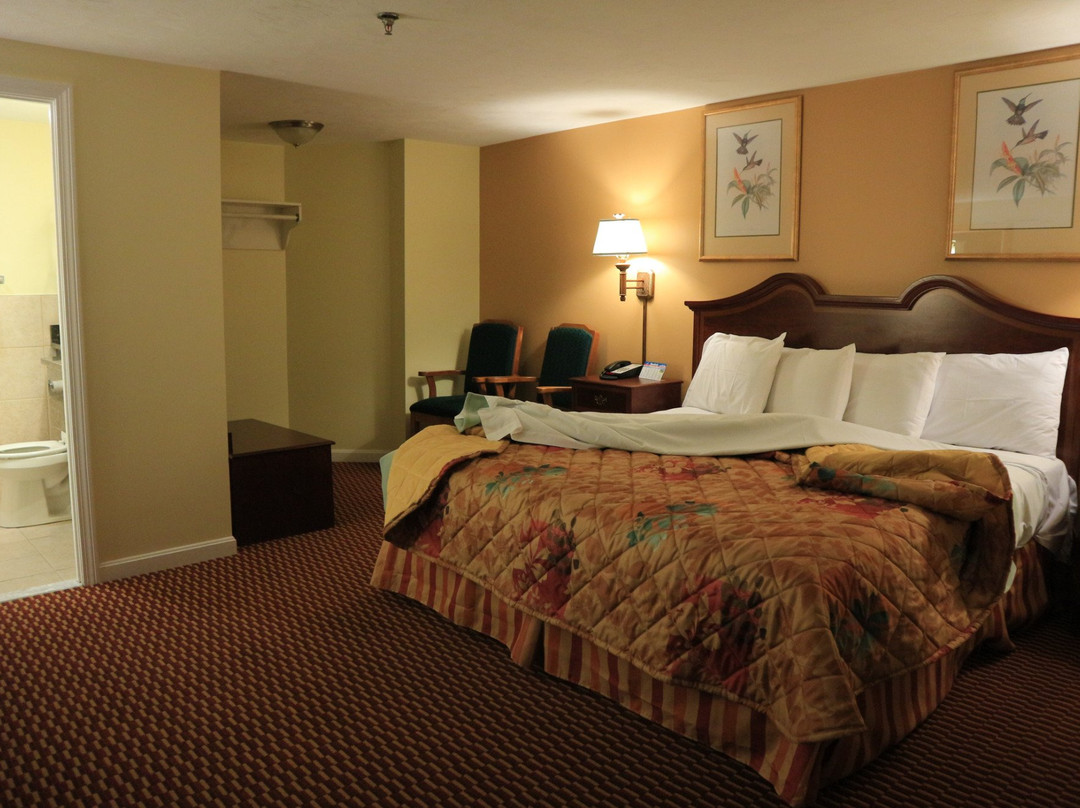 斯特布里奇酒店住宿-Scottish Inn Sturbridge