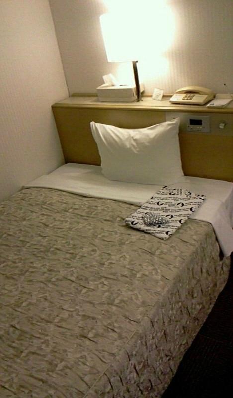 Ota Daiichi Hotel-客卧