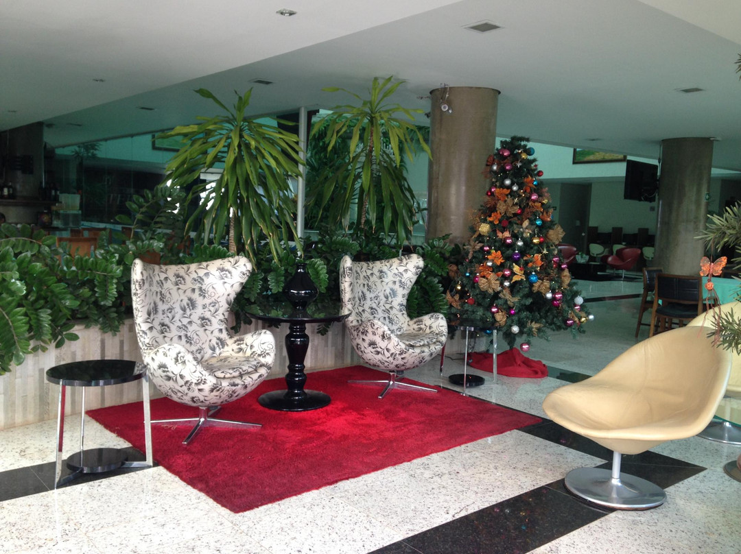 Lagoa Grande酒店住宿-Paracatu Plaza Hotel