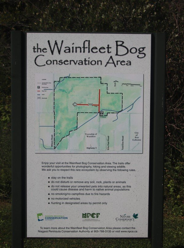 Wainfleet Bog Conservation Area-Wainfleet必去景点