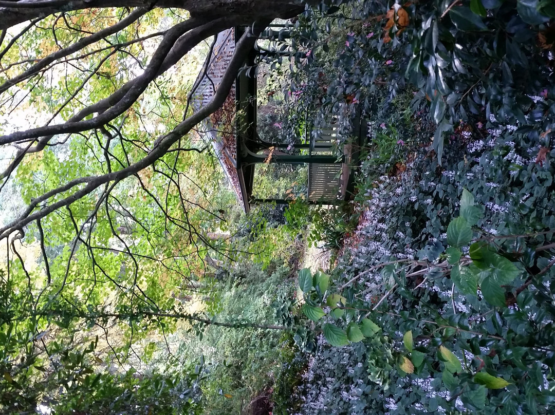 希尔布鲁克旅游景点-George Tindale Memorial Gardens