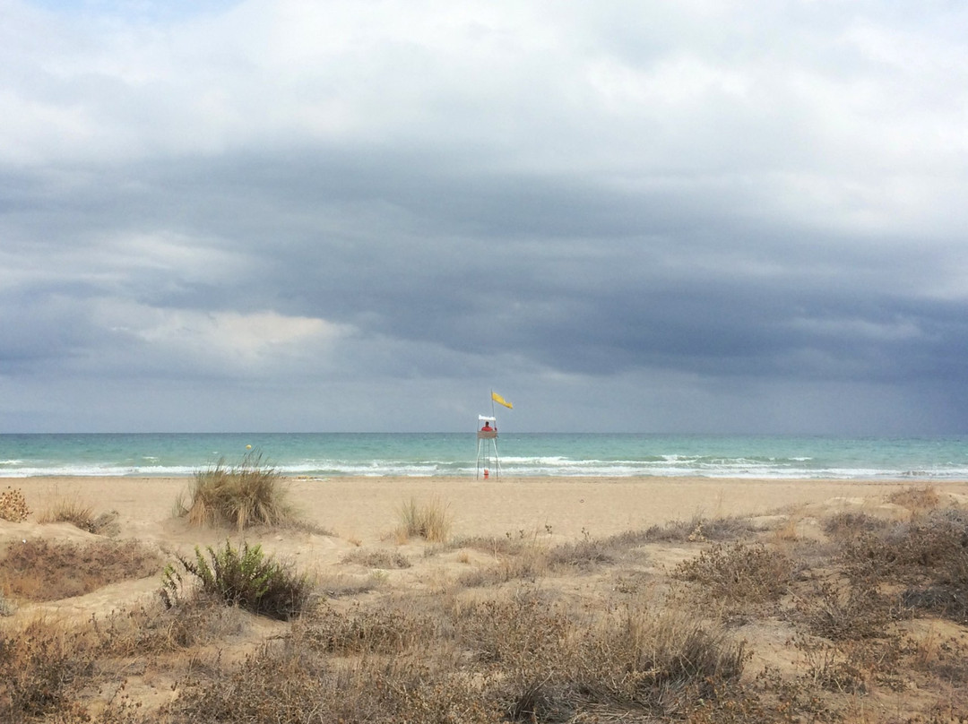 Playa El Gurugu景点图片