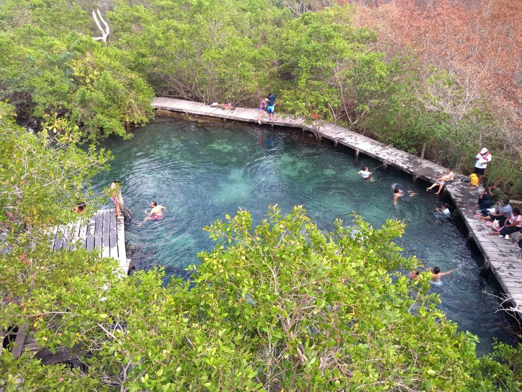 Holbox Island旅游攻略图片