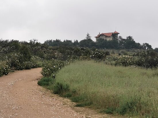 Presa del Gasco Las Matas Trail景点图片