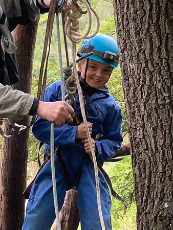 Forest Adventure Ltd-Coleford必去景点