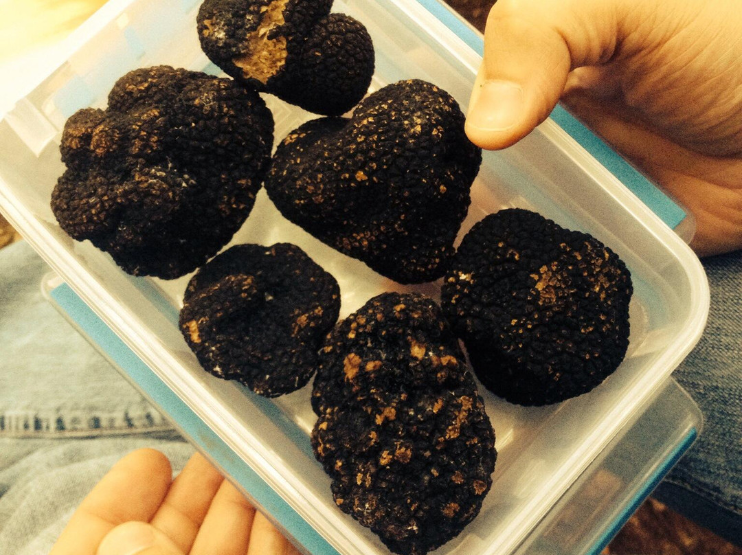 Truffes Passion-Limogne-en-Quercy必去景点