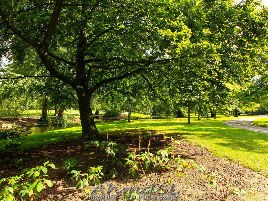 Het Park