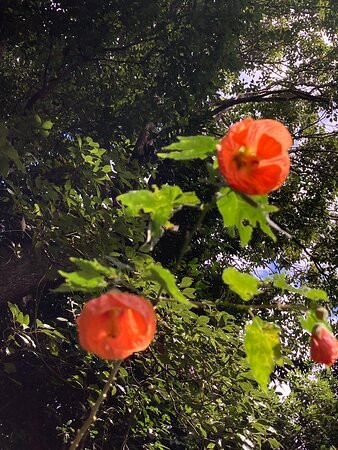 La Vallée Heureuse-Le Brule必去景点