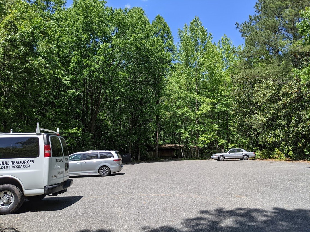 Battle Creek Cypress Swamp Sanctuary景点图片