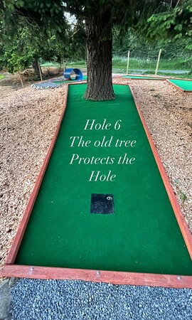 Orcas Mini Golf-Eastsound必去景点