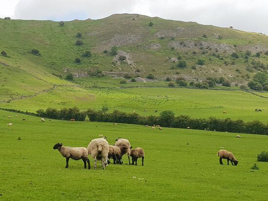 Dovedale Stepping Stones景点图片