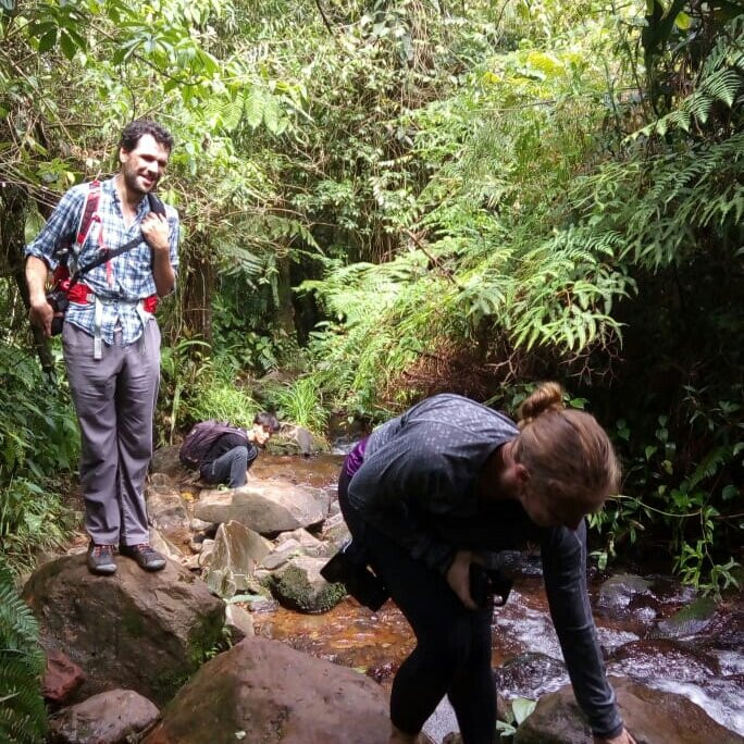Halimun Salak National Park-茂物必去景点