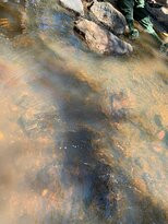 Reedy Creek-Eldorado必去景点