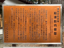 Funatsu Tainai Jugata Lava Tree Mold景点图片