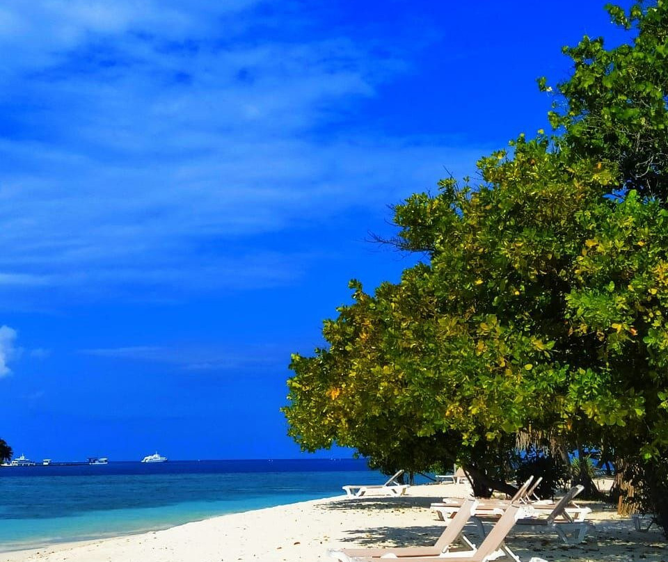 Holiday Garden Rasdhoo主图