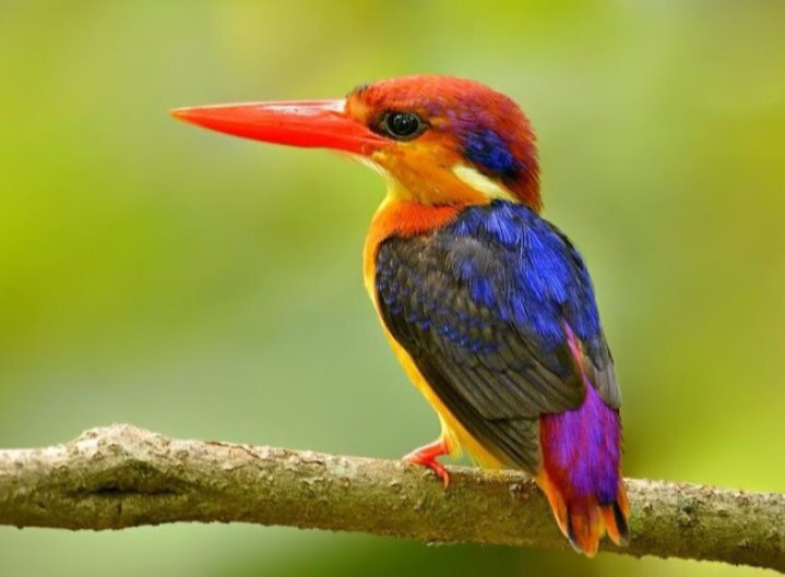 Hungama旅游攻略图片