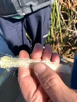 Blackwater Airboat Tours-韦斯顿必去景点