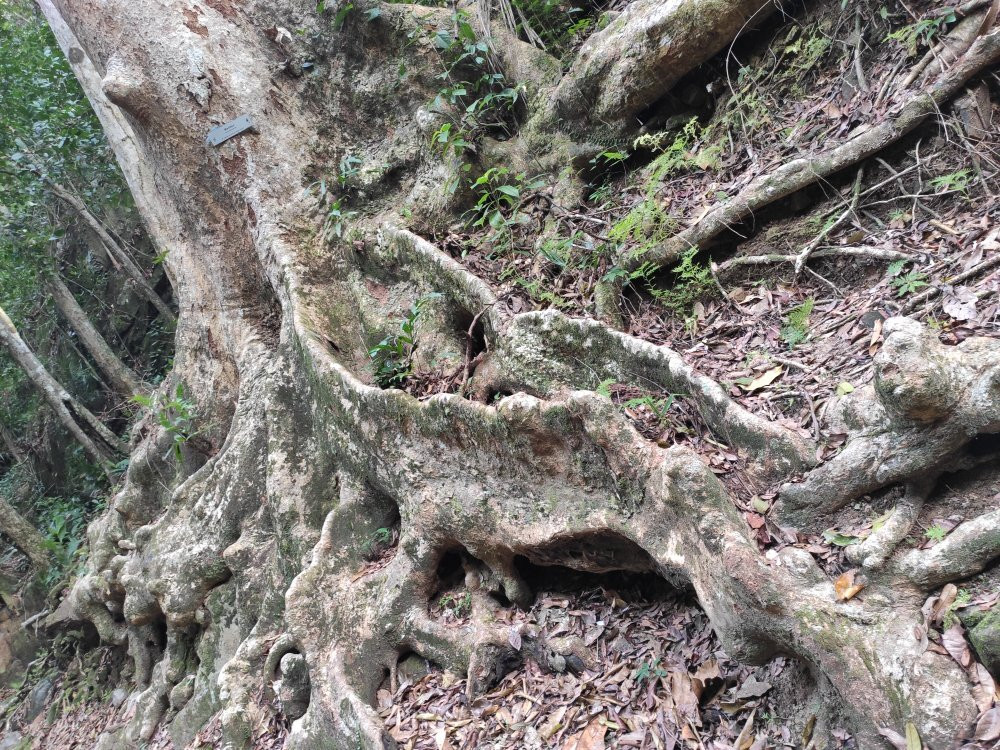 Bukit Wang-Jitra必去景点