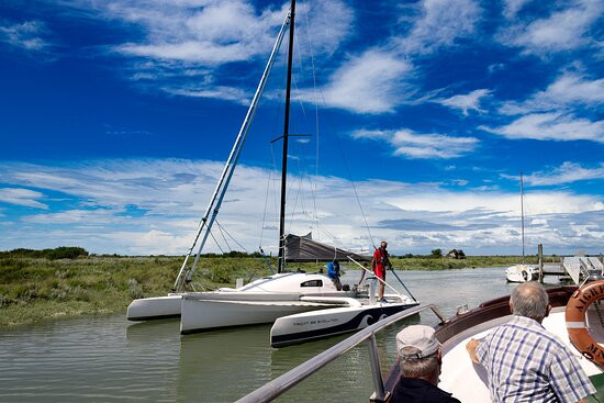L'aigrette 2 Seudre Croisières