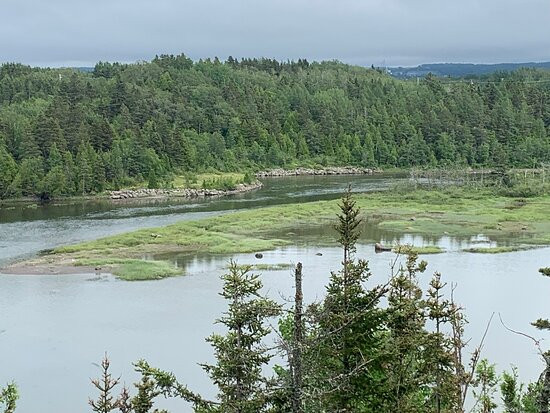 Parc de la Rivière Mitis景点图片