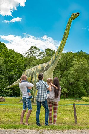 Dino Parkas Radailiai景点图片