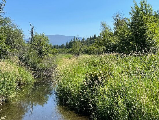 Round Lake State Park-Sagle必去景点