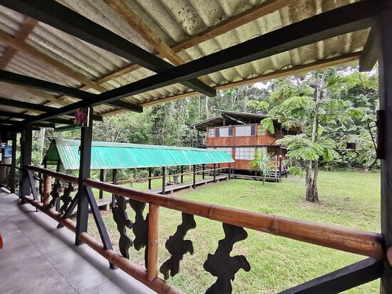 Tour Cuyabeno - Canangueno Lodge景点图片