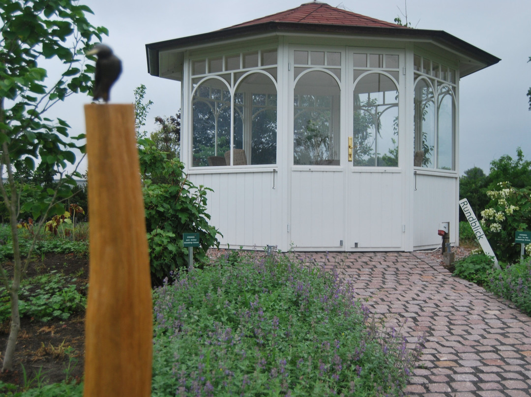 Park der Raritäten-Westerstede必去景点