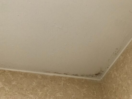 Wingate Gunnison主图