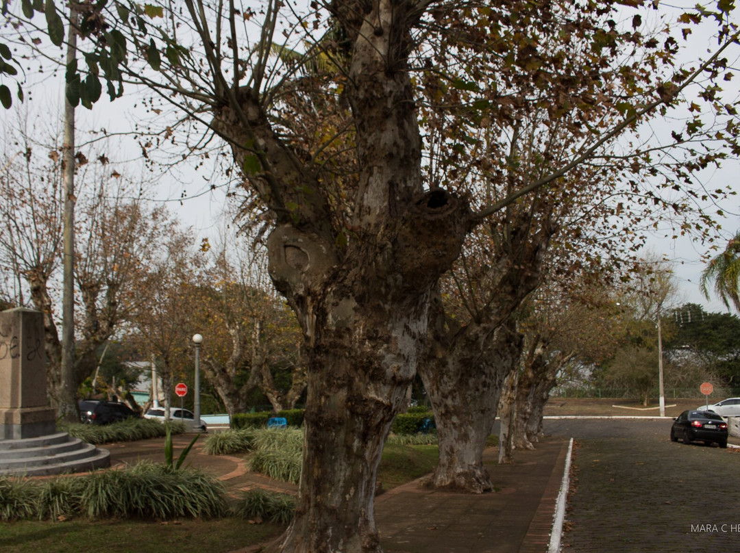 Praça Da Matriz De Triunfo.景点图片
