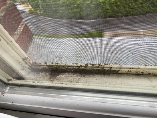 Marina Inn & Suites主图