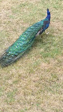 Parque de La Taconera-潘普洛纳必去景点