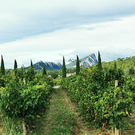 Domaine De La Vieille-Saint-Mathieu-de-Treviers必去景点