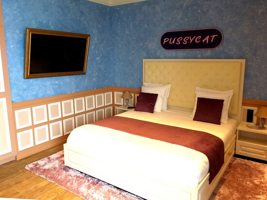 Plopsaland Theater Hotel主图