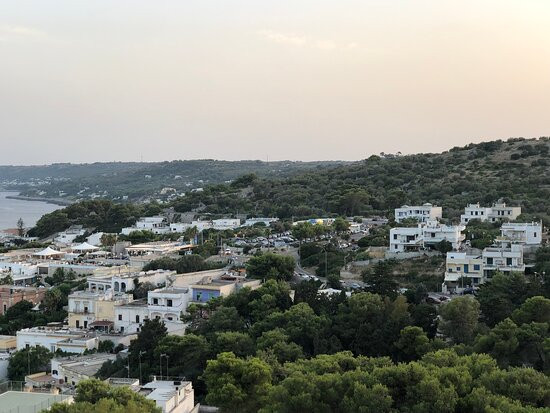 德优利维酒店主图