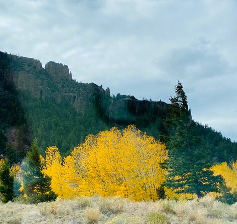Shoshone National Forest-科迪必去景点