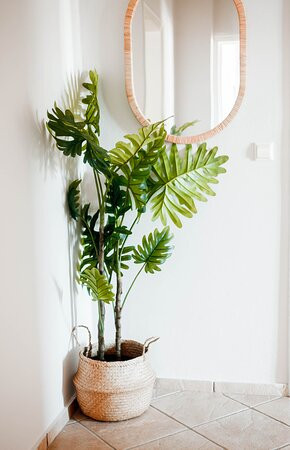 Evgenias Sea View Apartments主图