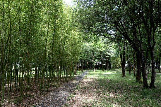 Les Jardins de Compostelle景点图片