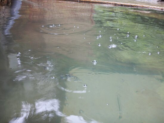 Geto Onsen Motoyugeto主图